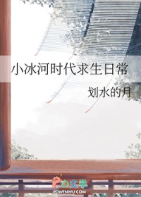 小冰河时代求生日常