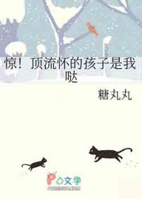 惊！顶流怀的孩子是我哒